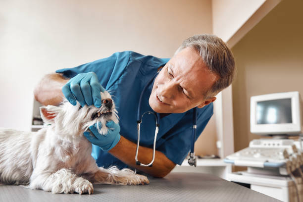 Best Emergency Tooth Extraction in Hueytown, AL